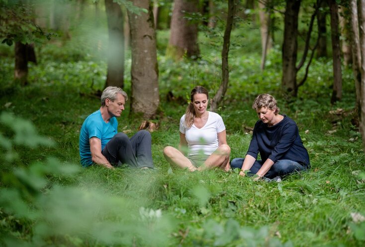 Hier sehen Sie drei Personen, die im Wald sitzen und die Kraft der Natur auf sich wirken lassen. 