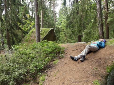 Hier sehen Sie eine Frau mit beiger Hose und blauer Jacke, die auf einem kleinen Hügel im Wald liegt.