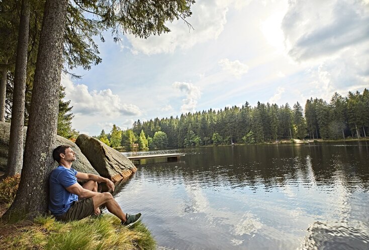 Hier sehen Sie eine Landschaft am See. Am Ufer sitzt ein Mann, angelehnt an eine großen Baum.