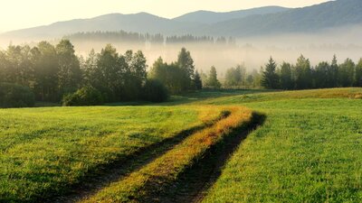 Gesundes Bayern