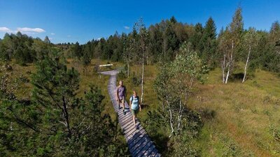 Gesundes Bayern Gesundes Bayern