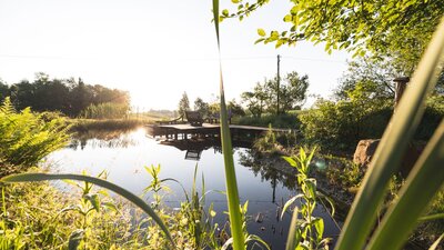 Gesundes Bayern Gesundes Bayern