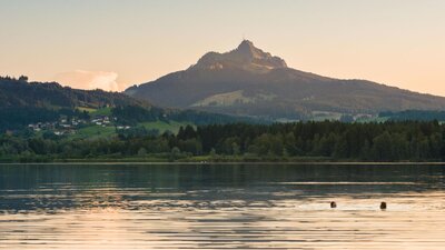 Gesundes Bayern Gesundes Bayern