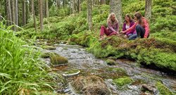 Drei Frauen genießen die Ruhe und die Natur im Wald an einem Bachlauf.